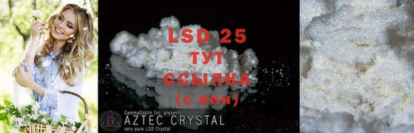 ECSTASY Горняк