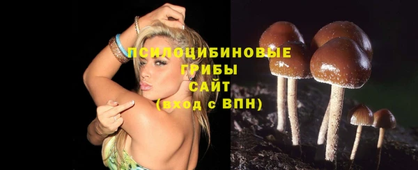 ECSTASY Горняк