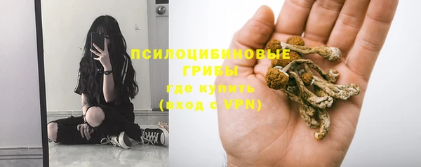 ECSTASY Горняк
