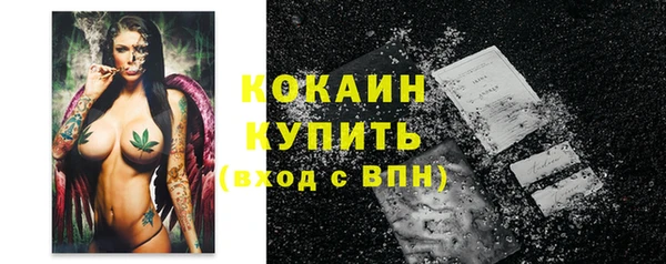 ECSTASY Горняк