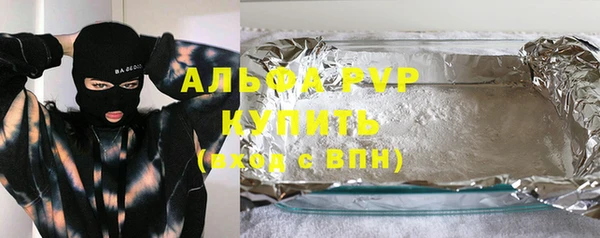 ECSTASY Горняк