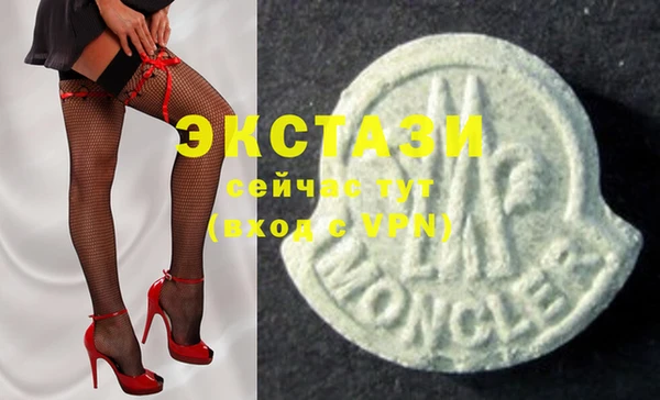 ECSTASY Горняк