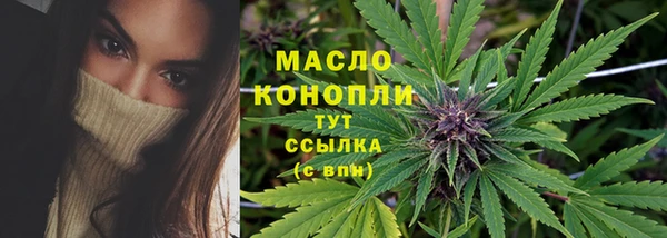 ECSTASY Горняк