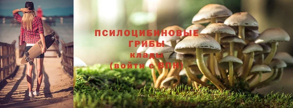 ECSTASY Горняк