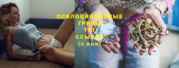 крисы Горнозаводск