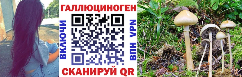 маркетплейс наркотические препараты  Онега  Псилоцибиновые грибы мухоморы 